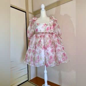 ⭐️FANCIFUL DOLL⭐️ Roses and Cream PUFF dress